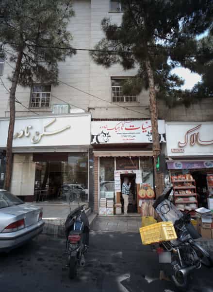 عکس مسکن نادر در حسین آباد تهران