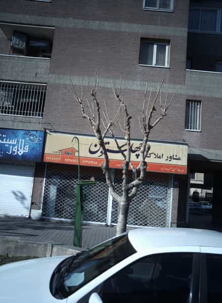 عکس مشاور املاک چهلستون در سلسبیل شمالی تهران