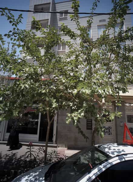 عکس مسکن میلاد در آبشار تهران