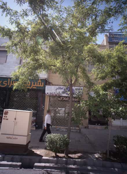 عکس مشاور املاک در حجاب مشهد