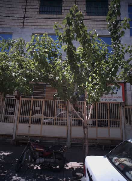 عکس مشاور املاک در رده مشهد