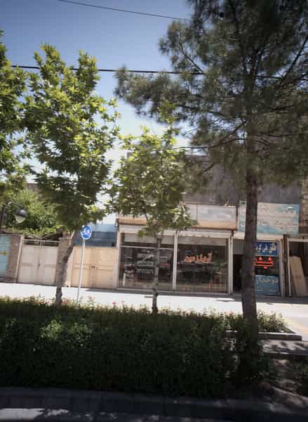 عکس آریا زمین در شاهد مشهد