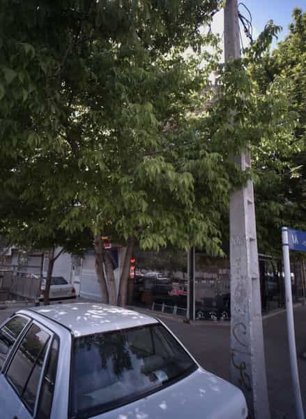 عکس دفتر مشاور املاک سلطانی در هنرور مشهد