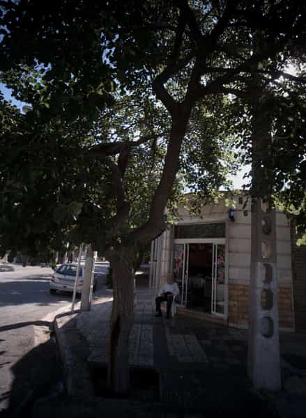 عکس املاک کوی امیرالمومنین مشهد