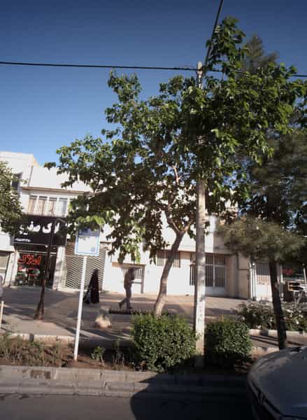 عکس املاک صفری در استاد یوسفی مشهد