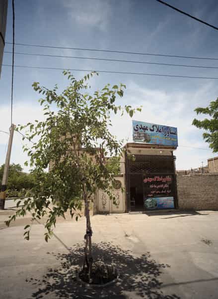 عکس مشاور املاک مهدی در رباط طرق مشهد