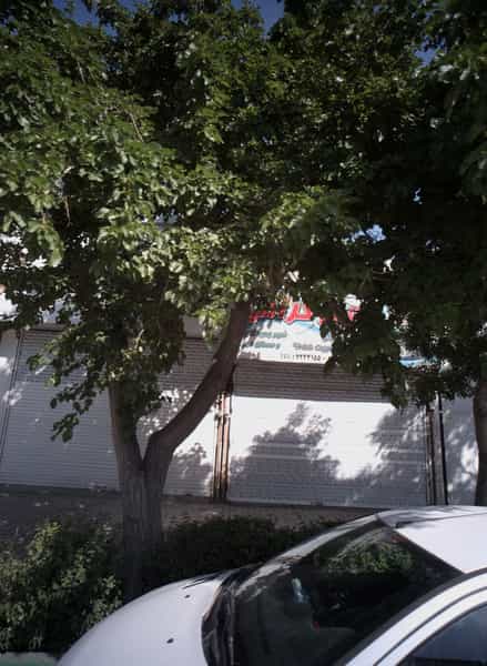 عکس املاک میر گرامی در شهید مطهری مشهد