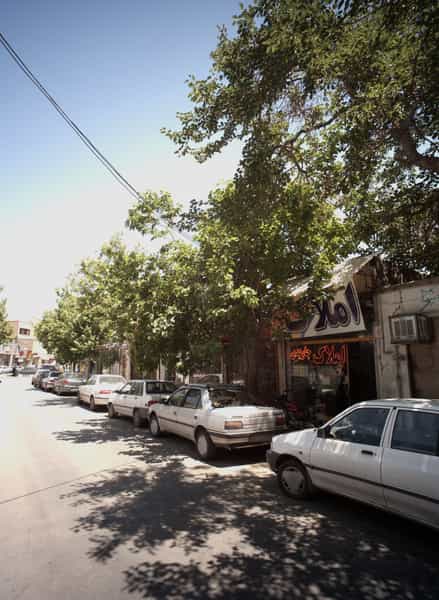 عکس املاک جاویدی در سعد آباد مشهد