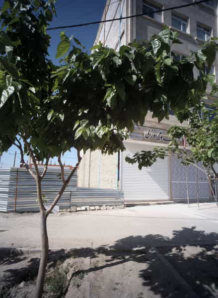 عکس املاک پیروزی در حسین آباد مشهد