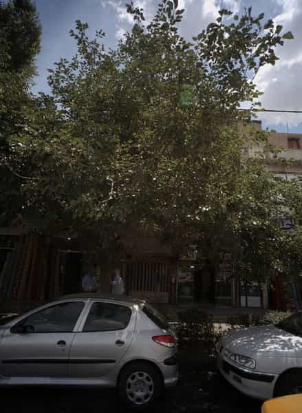 عکس مشاور املاک عدالت در شیرودی مشهد