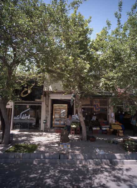 عکس املاک کاخ در گاز مشهد