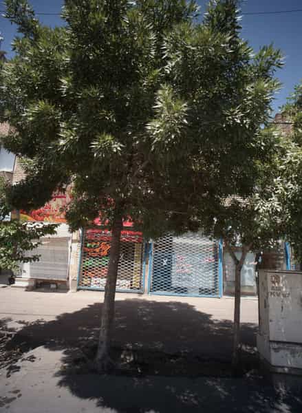 عکس مشاور املاک پویا در هدایت مشهد