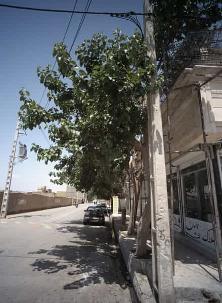عکس املاک جمالیان کوی دروی مشهد