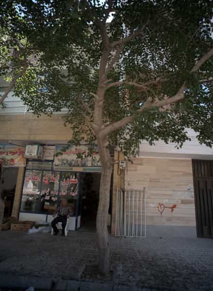 عکس مشاور املاک ایمانی در هدایت مشهد