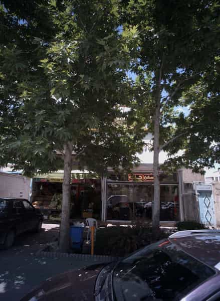 عکس مسکن تات در هنرستان مشهد