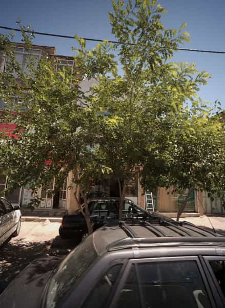 عکس املاک رضا در بهمن مشهد