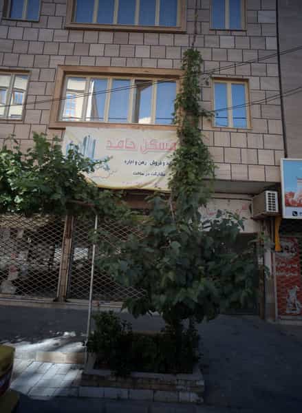 عکس مسکن حامد در اقبال مشهد