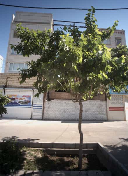 عکس مشاور املاک هروی در حسین آباد مشهد