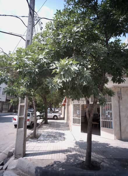 عکس مشاور املاک اسلامی در گلشور مشهد