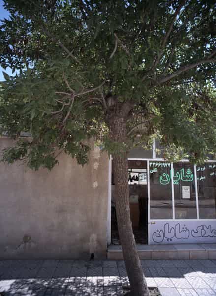 عکس املاک شایان در رضاییه مشهد