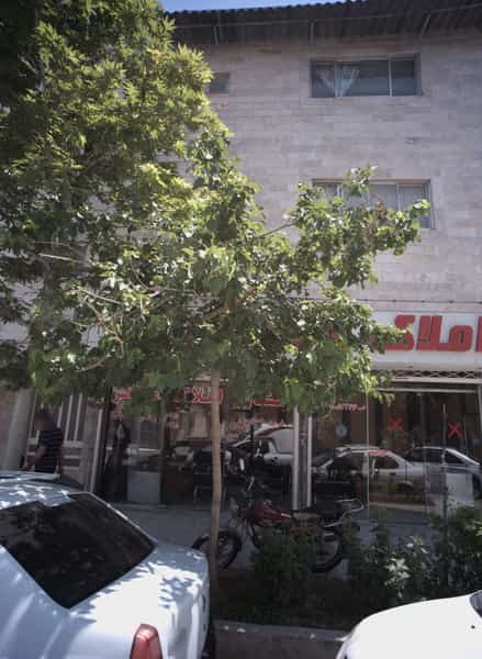عکس مشاور املاک مظاهر در عنصری مشهد