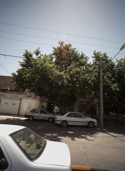 عکس مشاور املاک صبا در خواجه ربیع مشهد