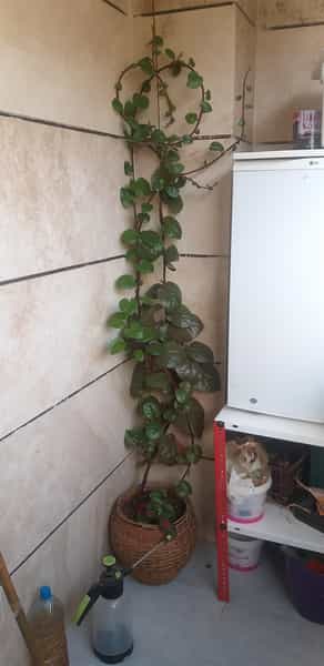 عکس کارگاه صنعتی تزریق شیمی اصفهان