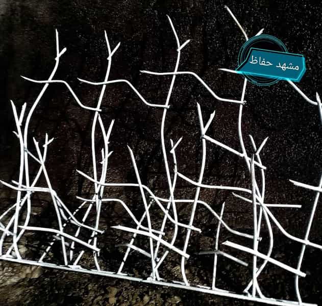 عکس تولیدی مشهد حفاظ در زرکش مشهد