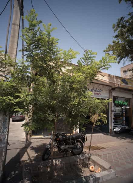 عکس شیشه و آینه شفیعی در مطهری تهران