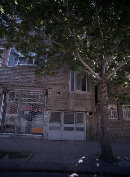 عکس تولیدی نبات در هدایت مشهد