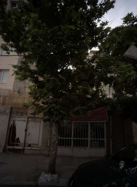 عکس فروشگاه پوشاک در مجد مشهد