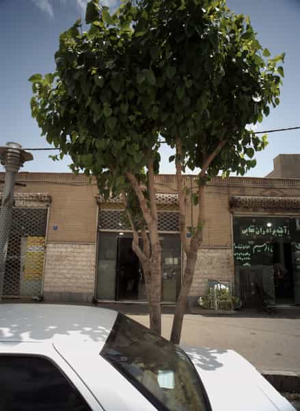 عکس شیشه و آیئنه برادران غفابی در زهتابی تهران