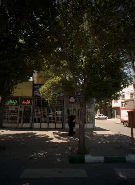 عکس سیم پیچی علیزاده و پسران در فاطمیه مشهد