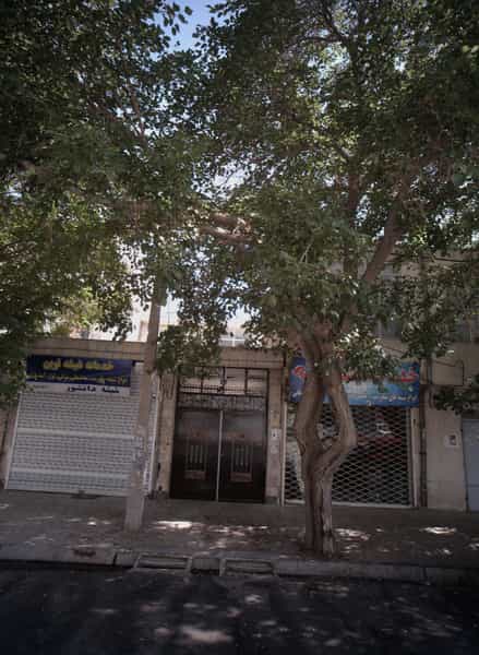 عکس شیشه دانشور در شفا مشهد