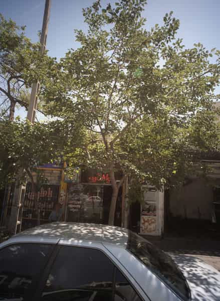عکس تراشکاری در کوشش مشهد