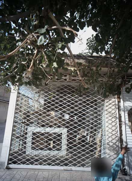 عکس نجاری در کشاورز مشهد