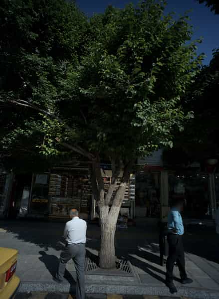 عکس تولیدی لباس در آیت الله خامنه ای مشهد