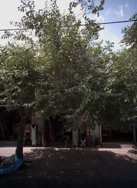 عکس چادر دوزی در فاطمیه مشهد