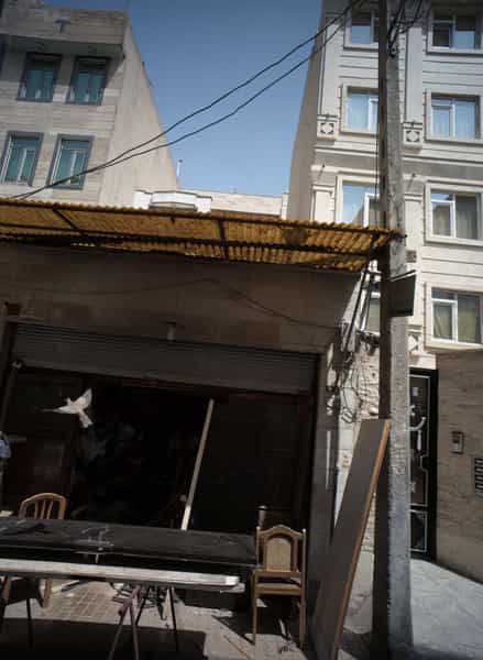 عکس کارگاه صنایع چوب در مسعودیه تهران