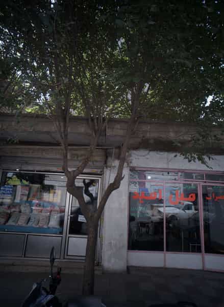 عکس تعمیرات مبل امید در فیروزآبادی تهران
