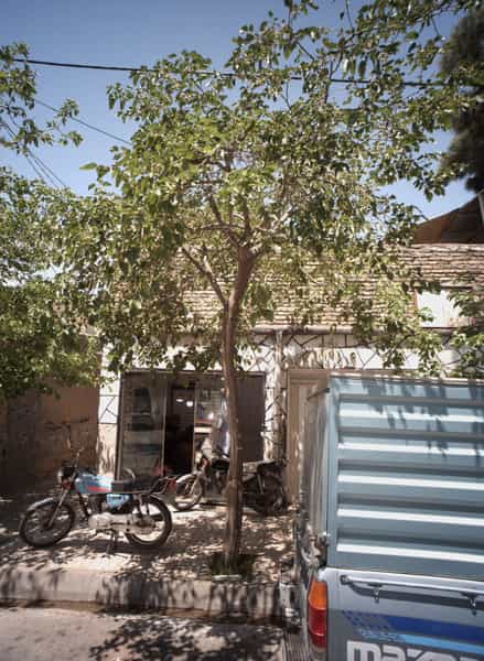 عکس تولیدی در کارمندان اول مشهد