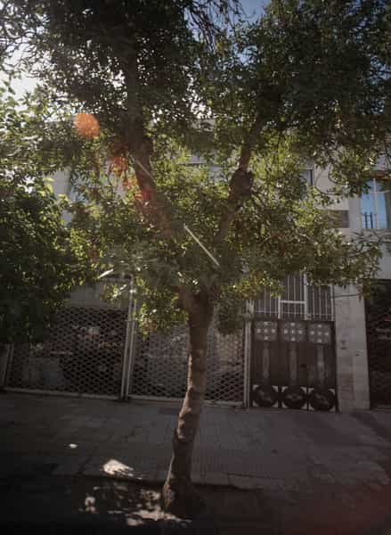 عکس تولیدی در رده مشهد