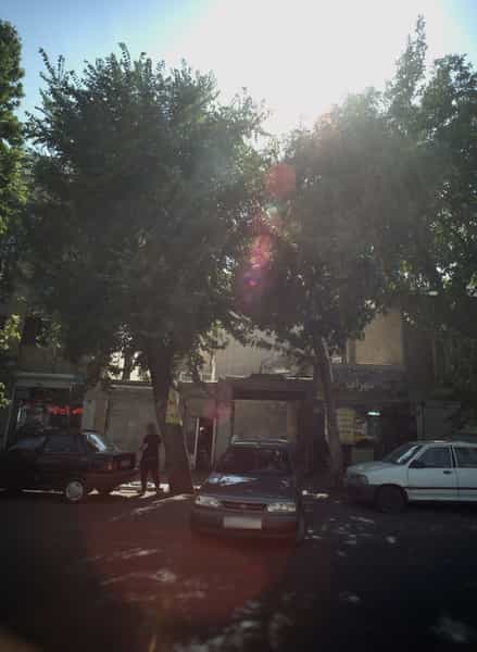 عکس ضایعات در باغ خزانه تهران