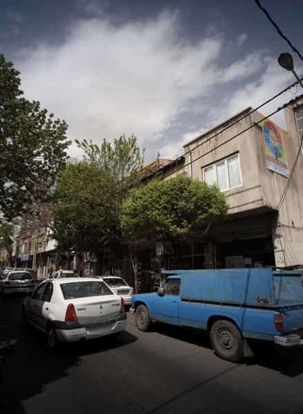 عکس منبت زیبا در شاهد تهران