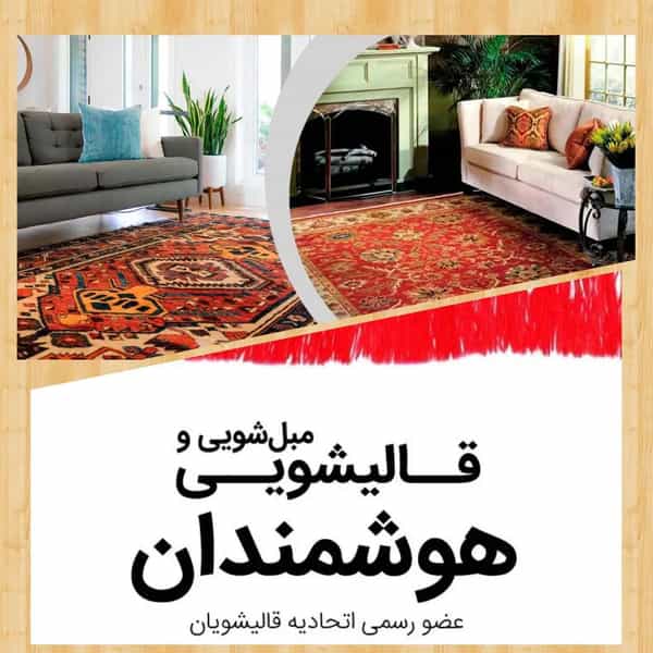 عکس قالیشویی هوشمندان در کن تهران