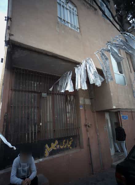 عکس نجاری بهار در شمیران نو تهران