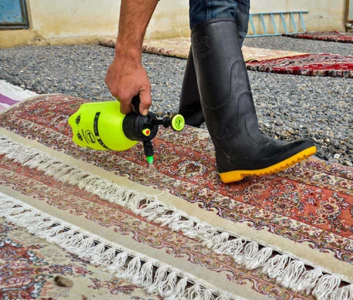 عکس قالیشویی آئین خراسان در هنرستان مشهد