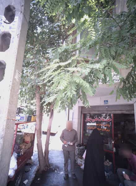 عکس خدمات فنی بهار در فیروزآبادی تهران