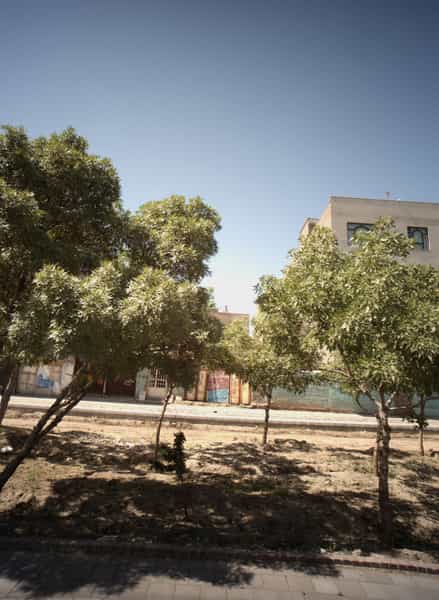 عکس مصالح ساختمانی یاوری در هدایت مشهد