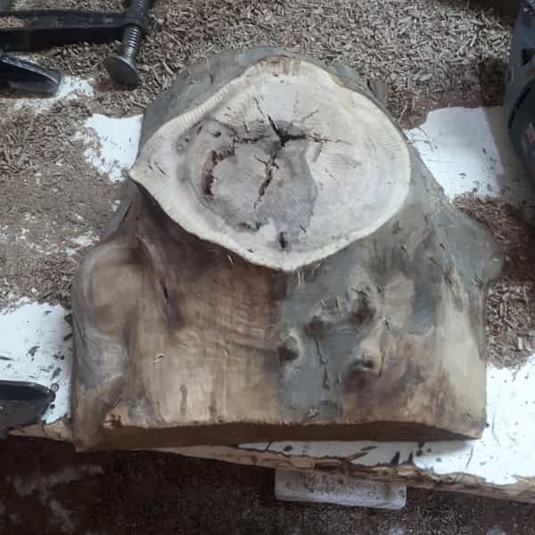 عکس کارگاه گالری ژیوار در دهقان ویلا کرج